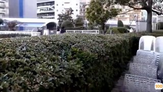 a在线视频v视频一区⭕❌欧美精品A片XXX⭕❌欧美性猛交XXXX乱大交极品-无码av电影在线观看不卡